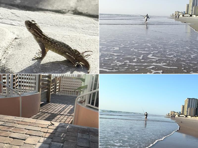 Former Treasure Island Resort