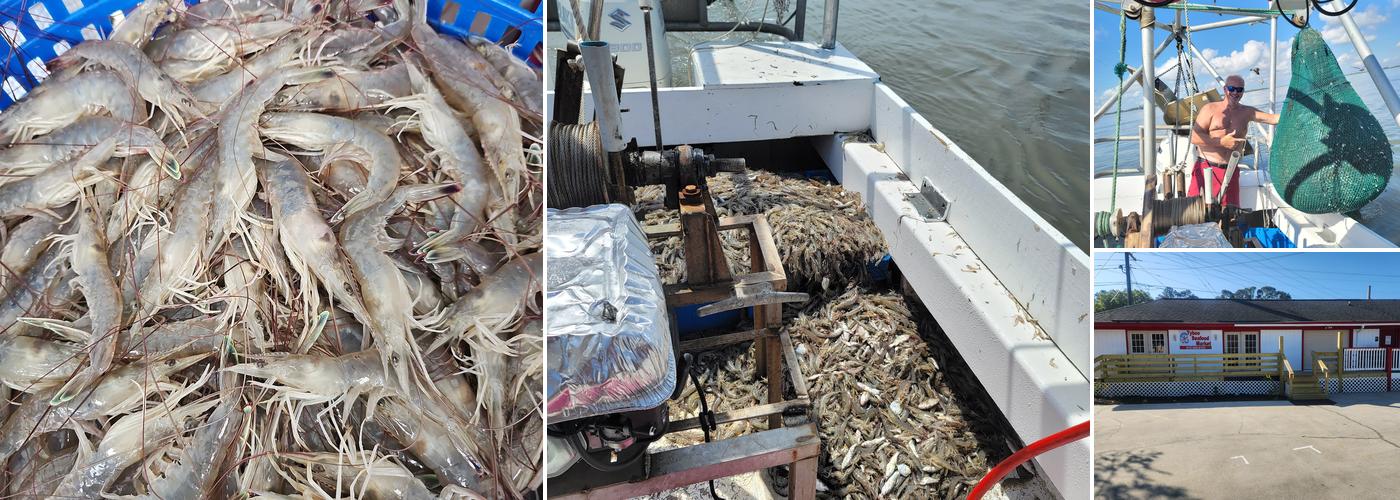 Scuba Steve's Seafood