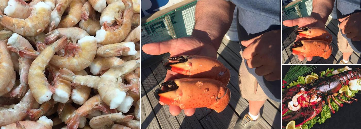 Seafood Express LLC Skokie