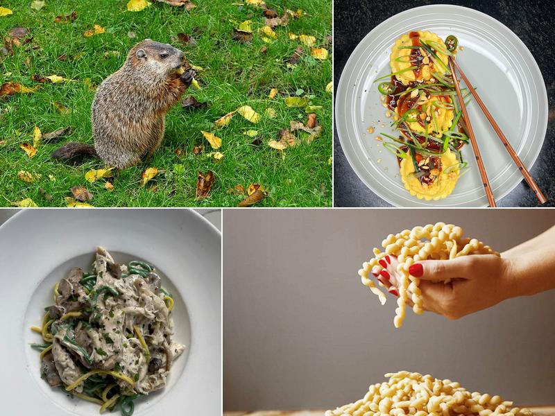 Lilly's Gastronomia Italiana 208 Main St, Everett