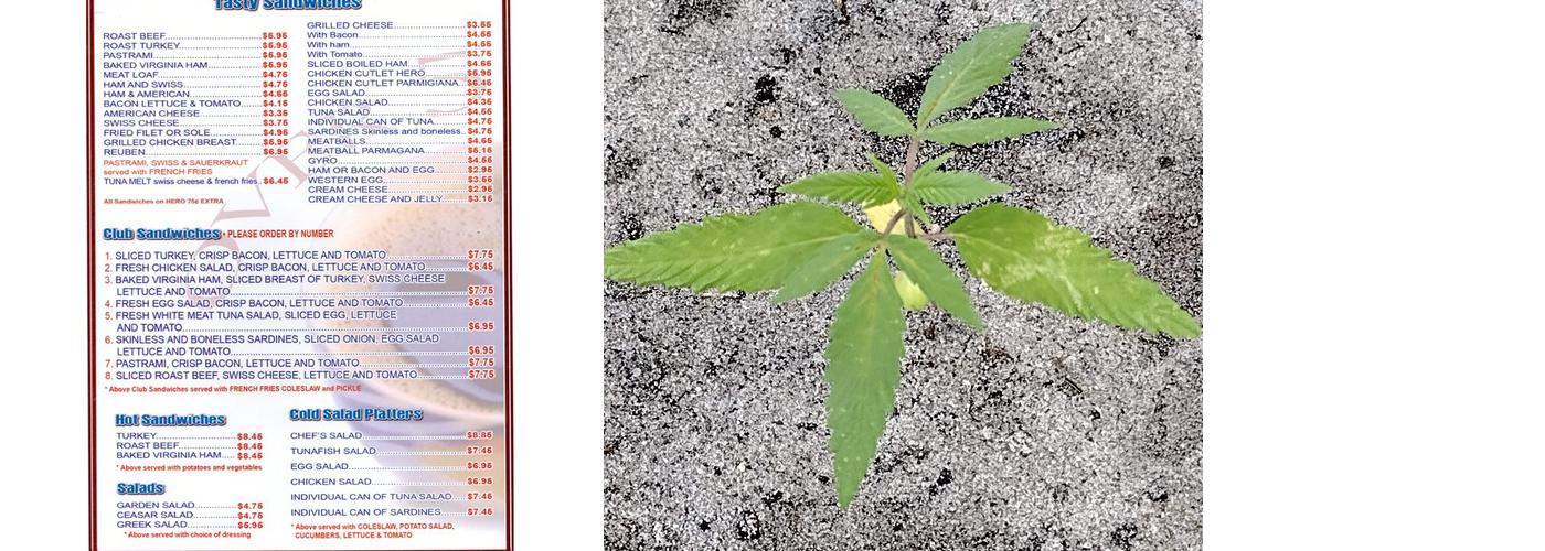 JS Perry’s Diner Menu