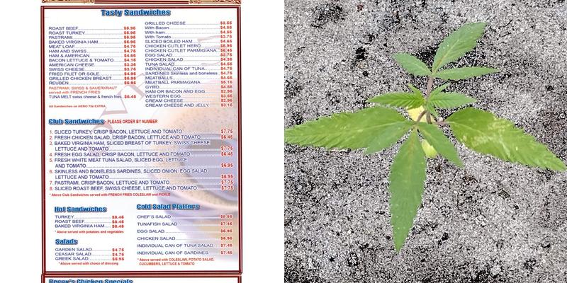 JS Perry’s Diner Menu