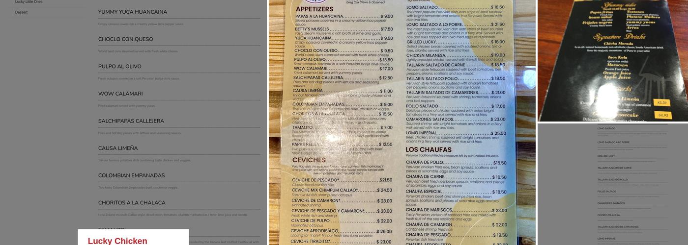 Lucky Chicken Menu
