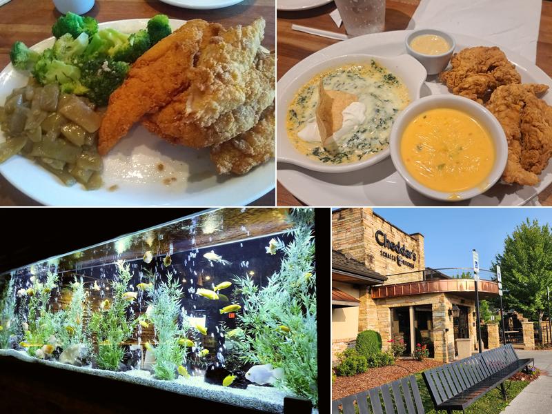 Cheddar's Scratch Kitchen