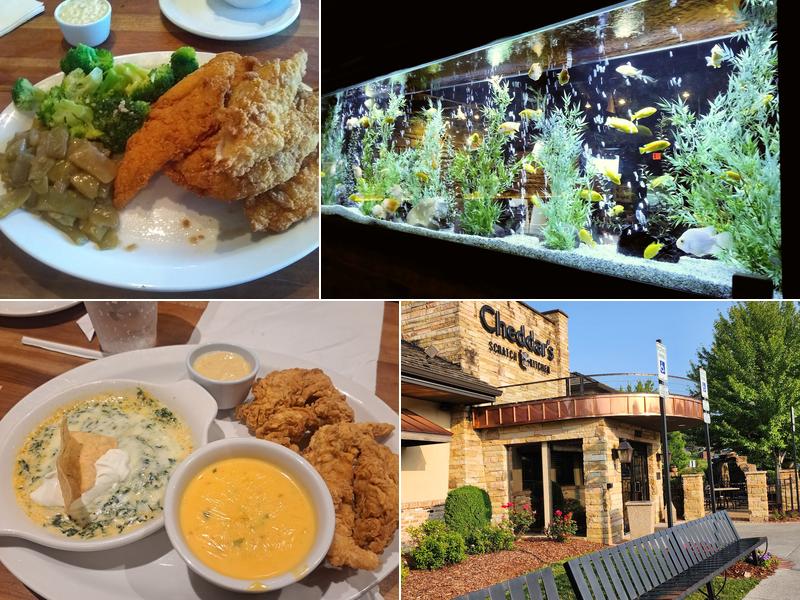 Cheddar's Scratch Kitchen