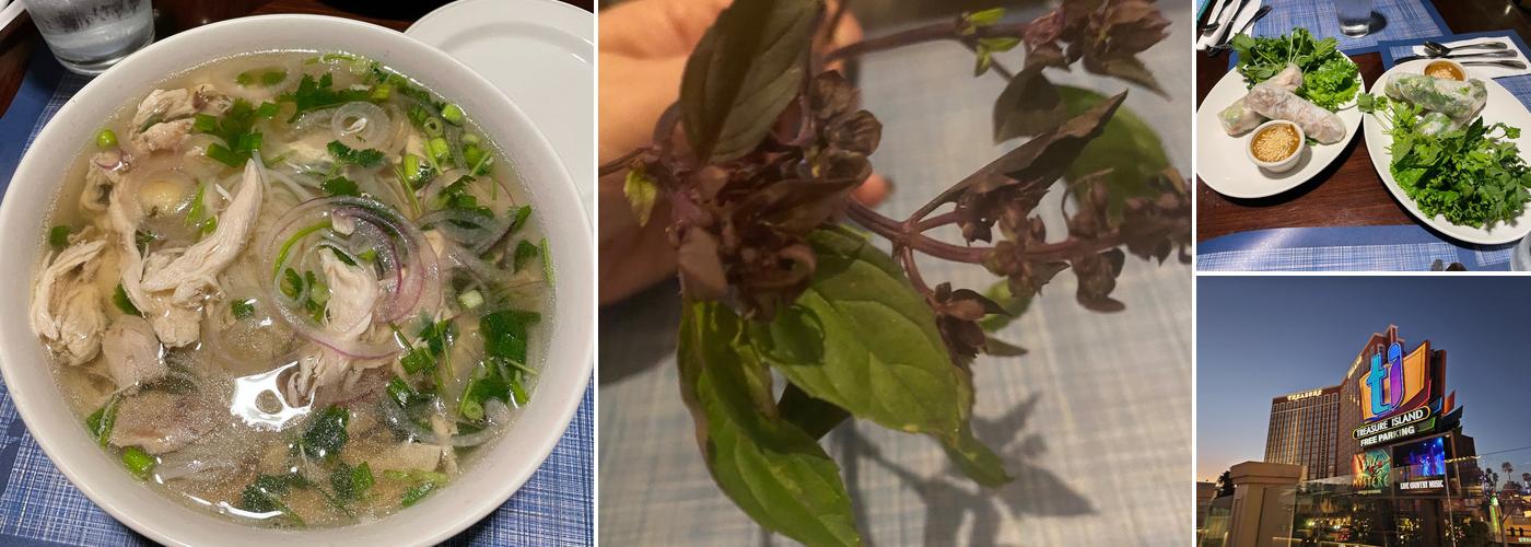 Pho at Treasure Island