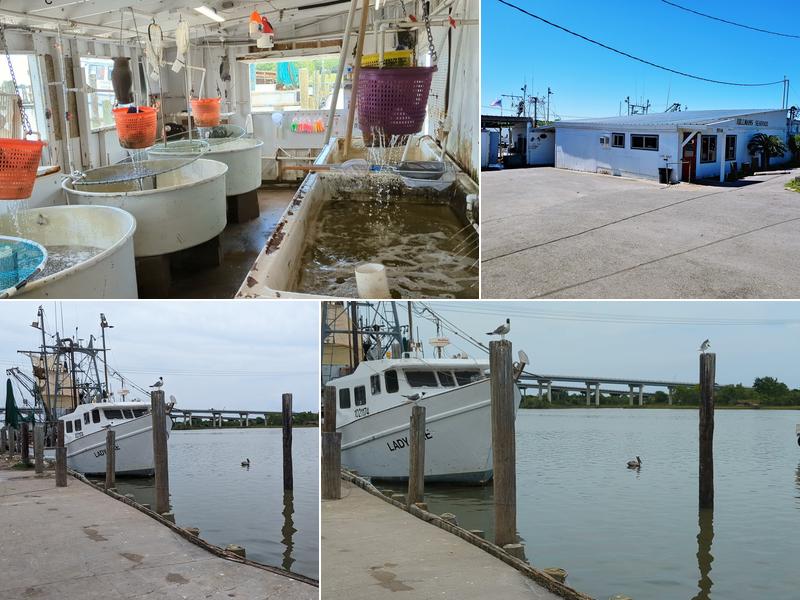 Hillman Shrimp & Oyster Co