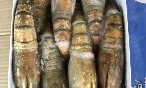 Amaranthus Houses Unlocked