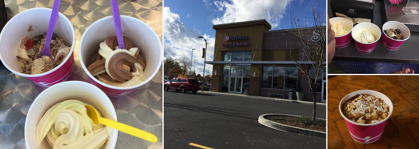 Bluberry Frozen Yogurt