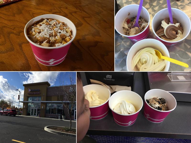 Bluberry Frozen Yogurt