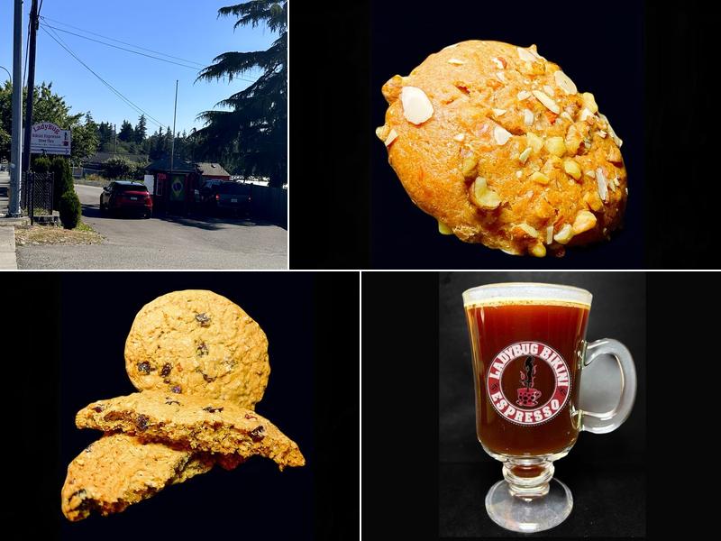 Ladybug Espresso 13507 Hwy 99, Everett