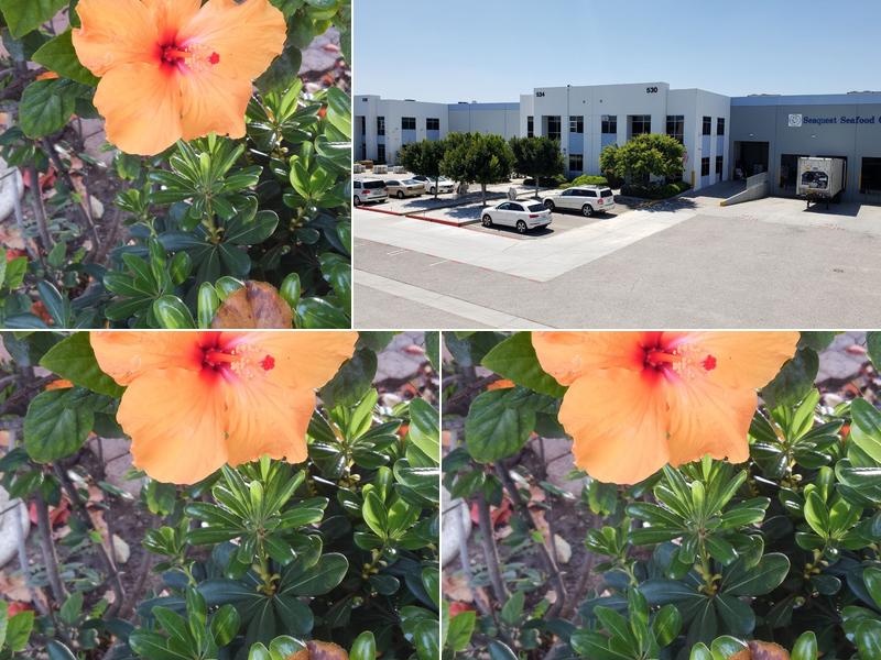 Seaquest Seafood Corporation