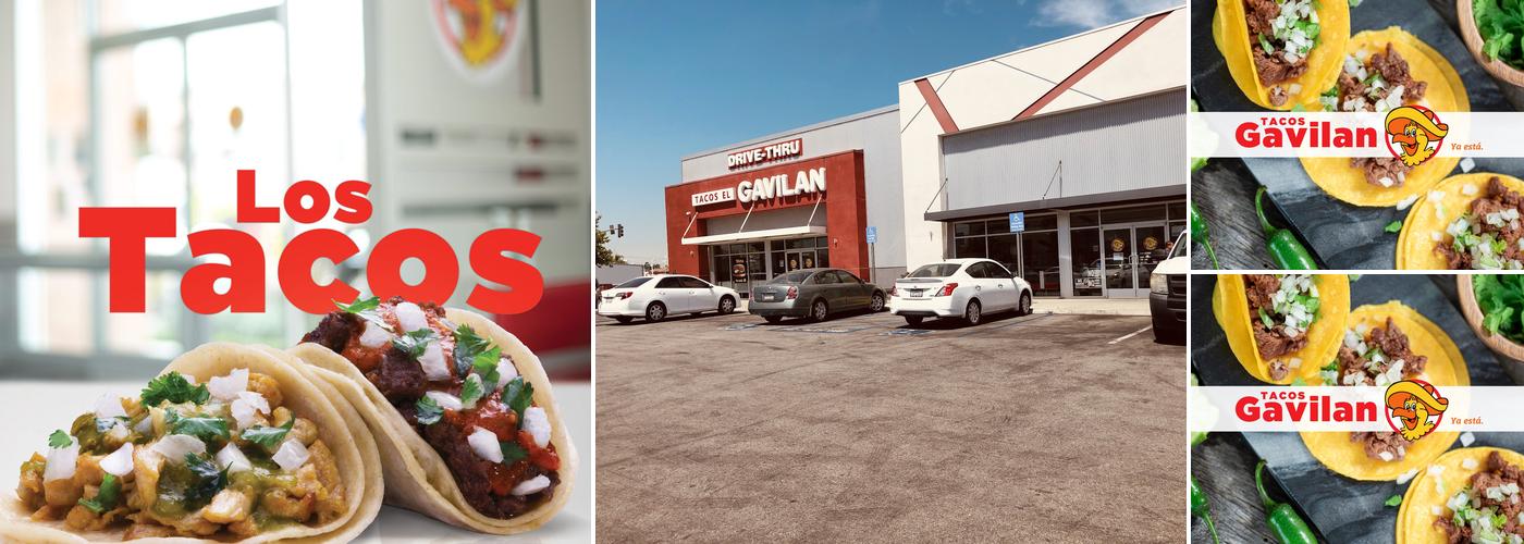 Tacos Gavilan