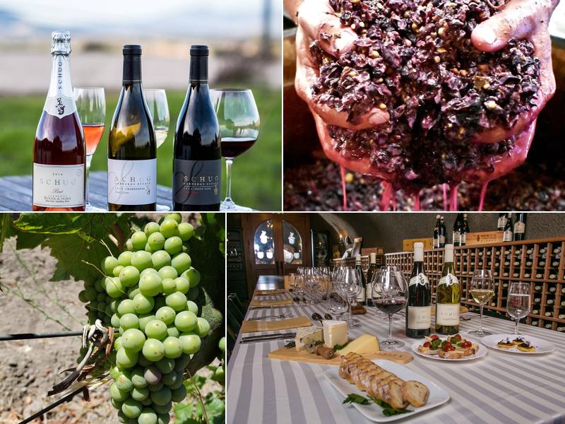 Schug Winery 602 Bonneau Rd, Sonoma