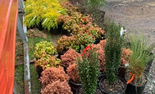 Southern Outdoor Landscapes & Supply