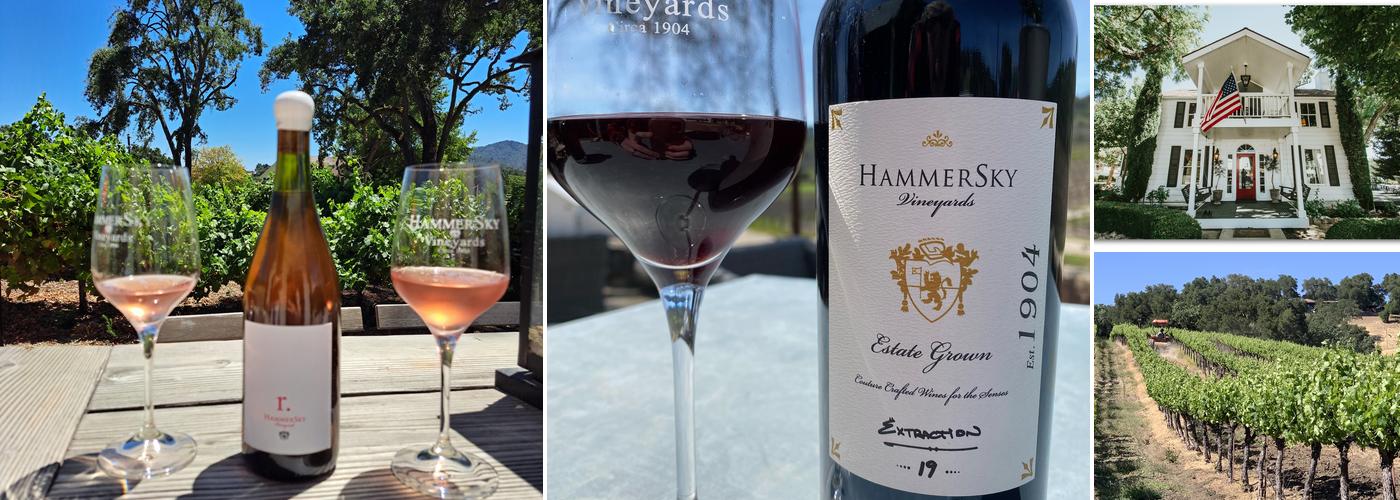 HammerSky Vineyards
