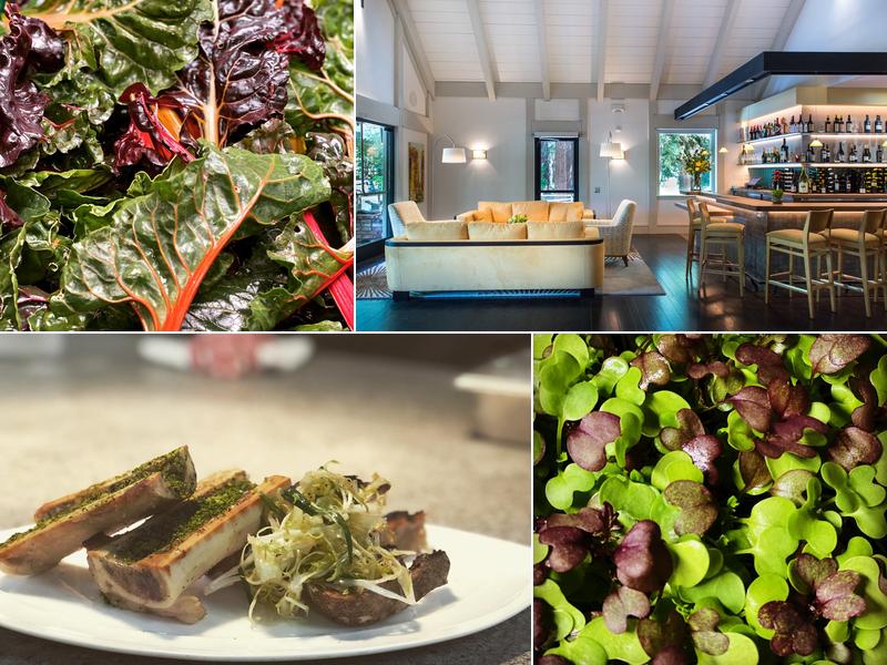 Harvest Table 1 Main St, St Helena