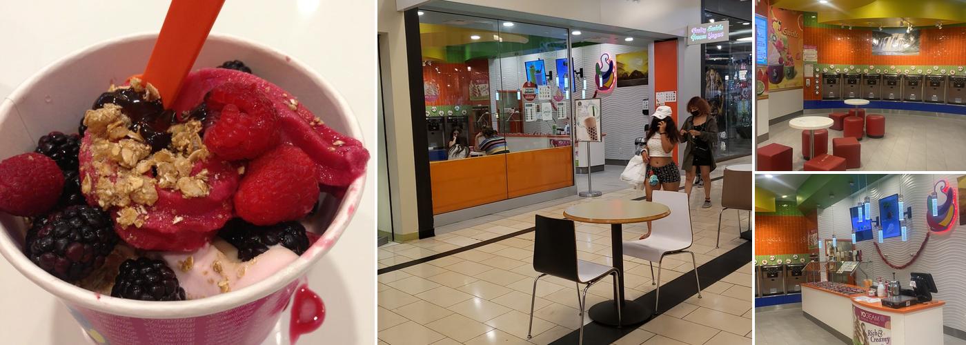 Fruity Swirls Frozen Yogurt