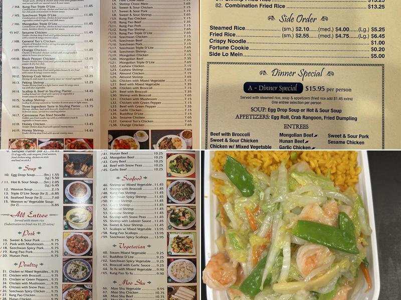 FUJI Chinese Restaurant Menu