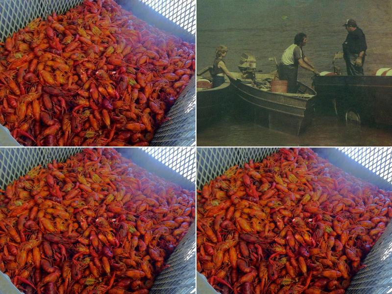 Kips Cajun Seafood 1535 Old Spanish Trail Hwy N, St Martinville