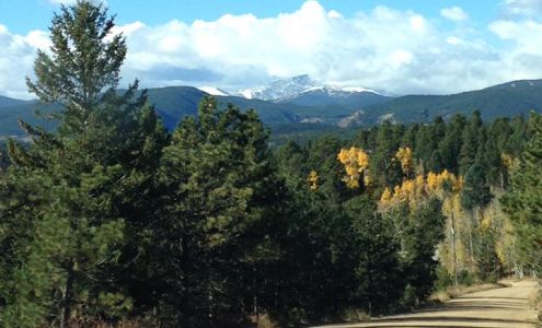 Insight Intensive at Gold Lake Ward