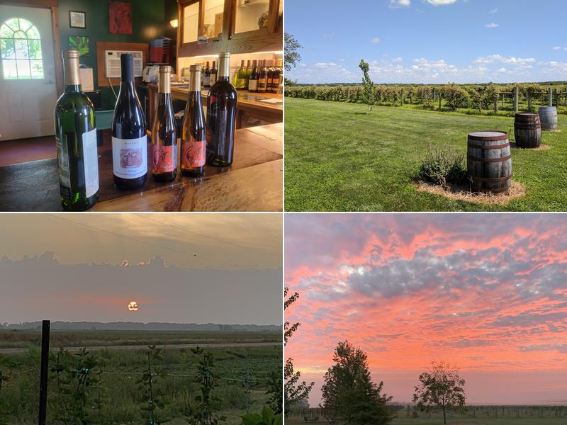 Davenport Orchards & Winery