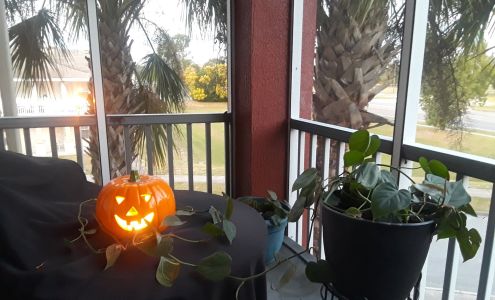 Renaissance At Washington