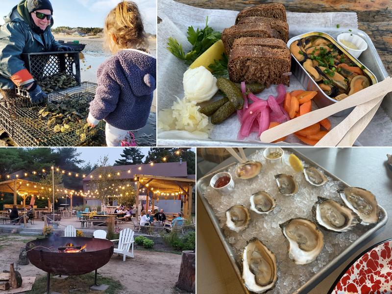 The Raw Bar at Island Creek Oyster Farm