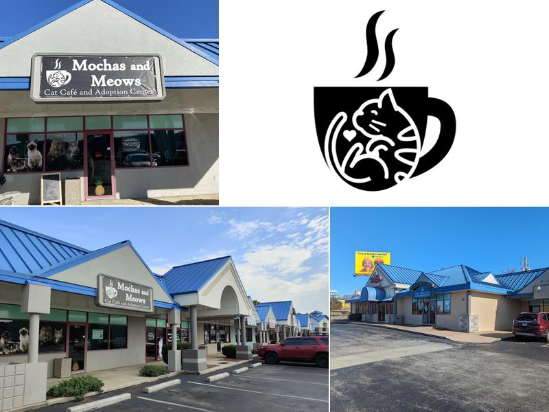 Mochas and Meows 3265 Falls Pkwy V, Branson