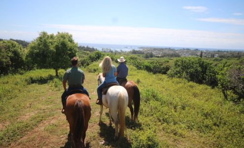 Gunstock Ranch 56-250 Kamehameha Hwy, Kahuku Hawaii 96731