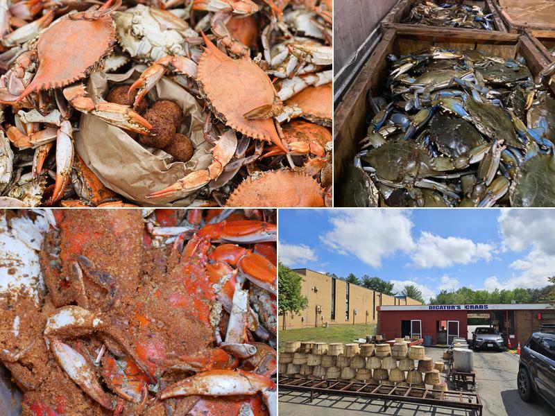 Decatur's Crabs 2022 Plank Rd, Fredericksburg