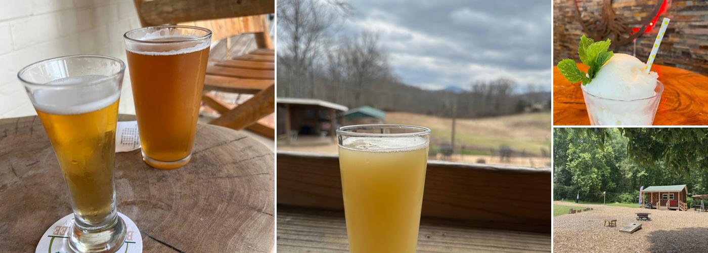 Brewing Tree Beer Co.