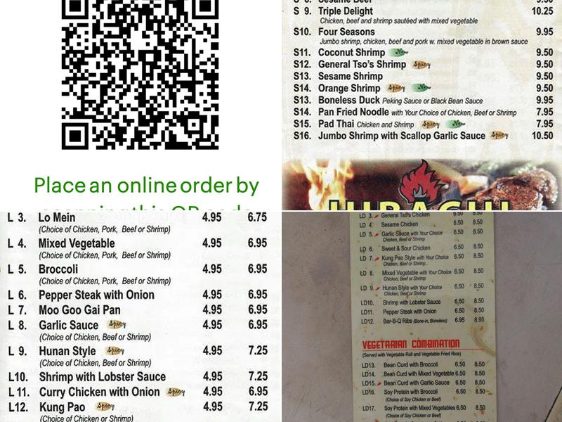 17 Snyder Chinese Food and Cold Beer Menu