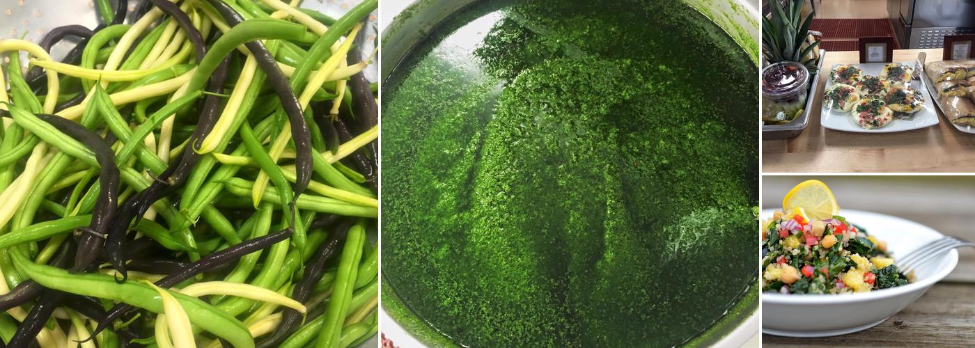 Terra Learning Kitchen