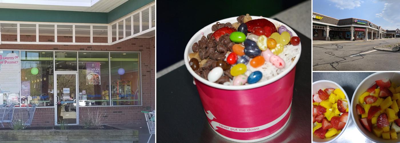 Blueberry Oakland Frozen Yogurt, Acai Bowl, Bubble Tea and Smoothie