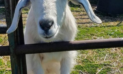 Partyka Farms Kendall