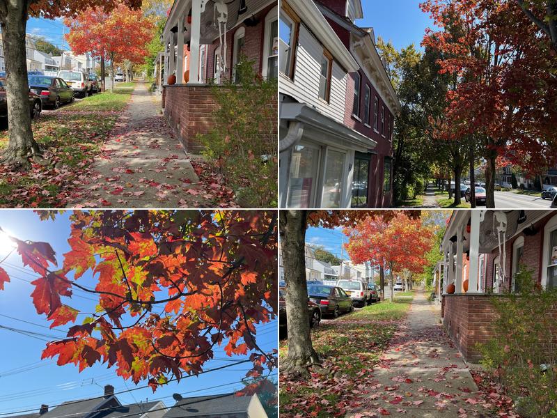 Trails End Deli 173 6th St, Verplanck