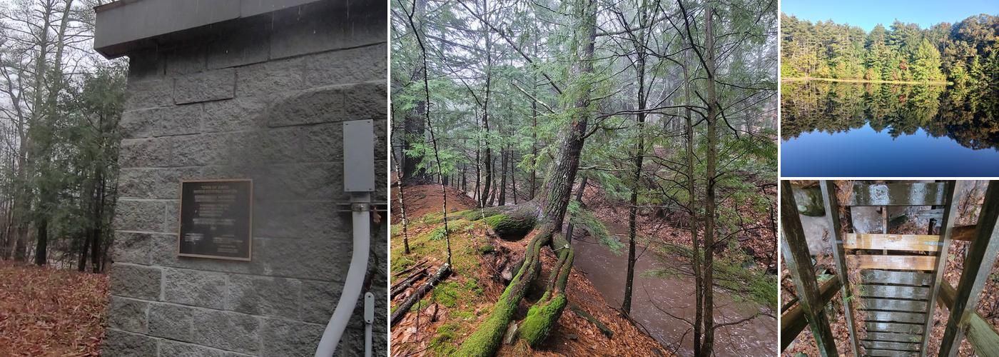 Cairo Nature Preserve