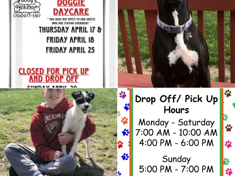 Buddy’s Bed and Biscuit