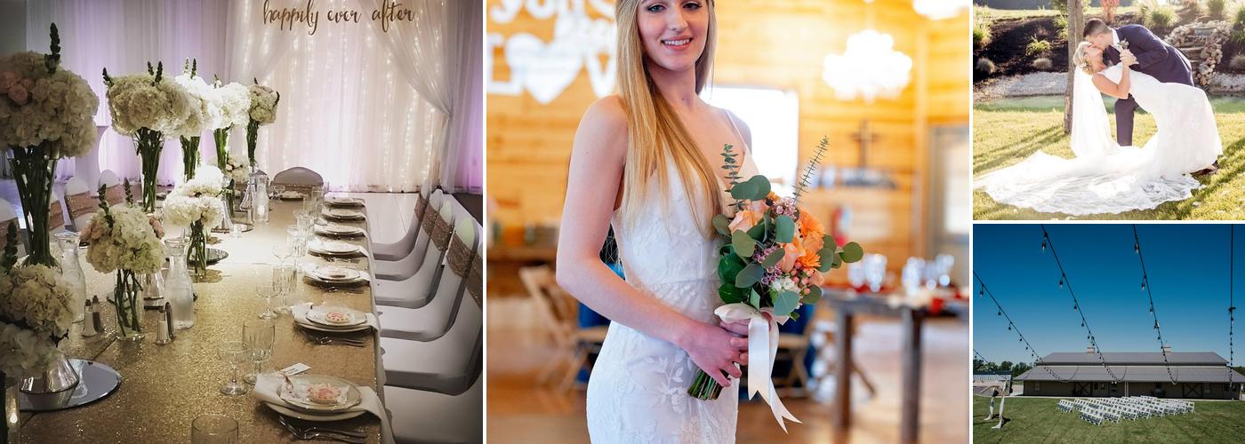 All Occasions Catering