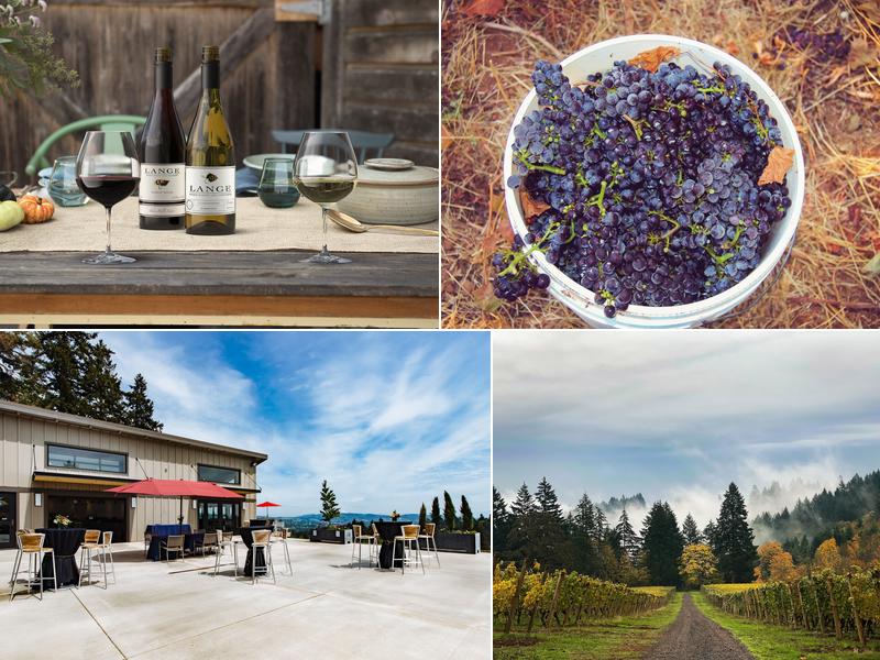 Lange Estate Winery & Vineyards