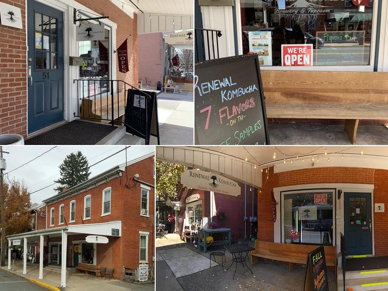 Renewal Kombucha