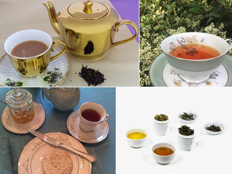 Carolina Parakeet Tea and Gifts