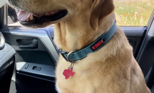 Diggity Dawg 240 Co Rd 4955, Leonard Texas 75452