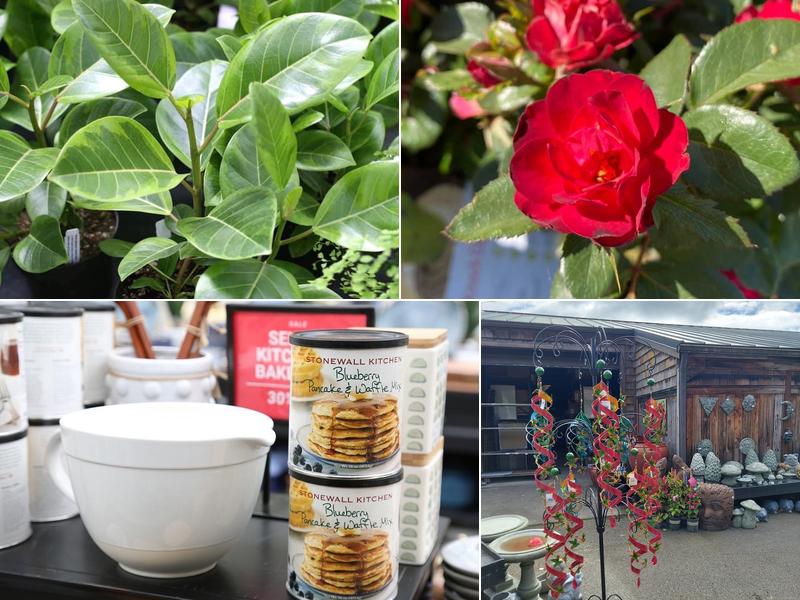 Watson's Greenhouse and Nursery