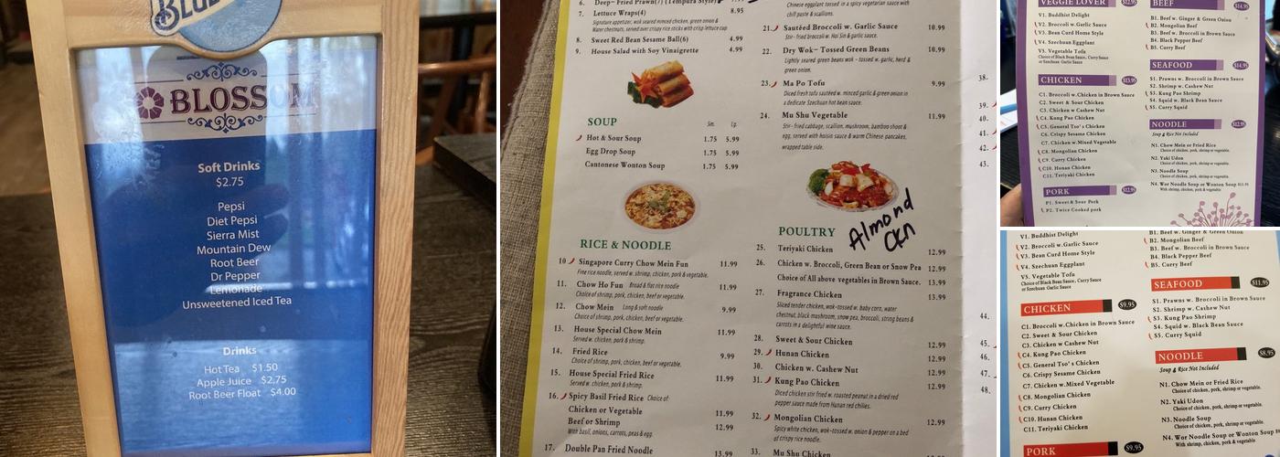 Blossom | Chinese Cuisine Menu