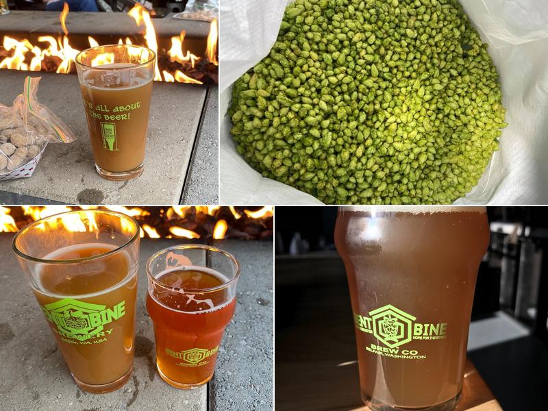 Bent Bine Brew Co. 23297 WA-3, Belfair