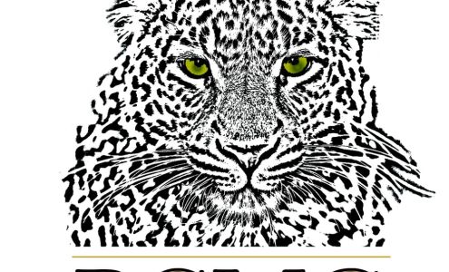 BCMG, LLC Brookfield