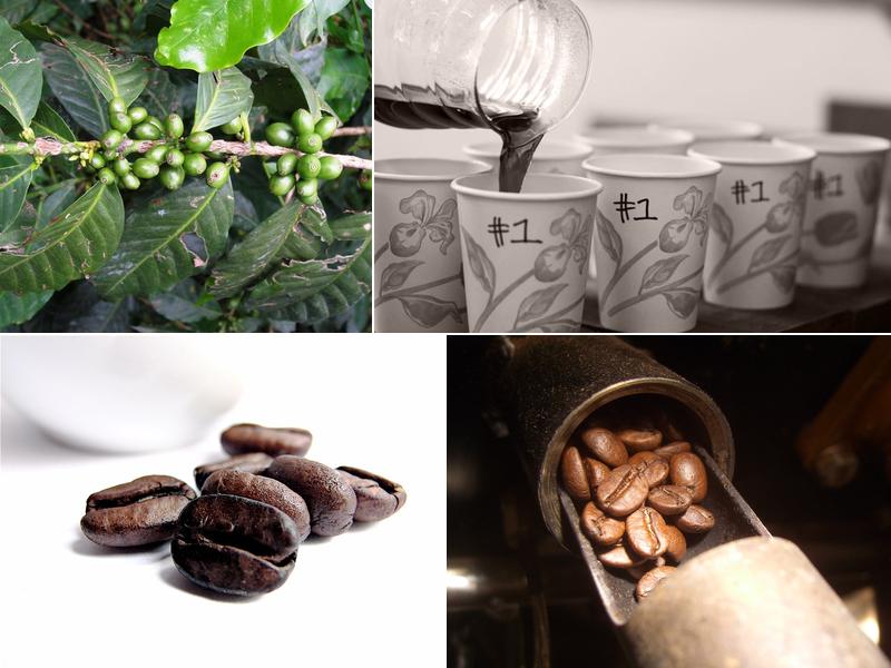 Alpine Coffee 2860 S Tejon St, Englewood