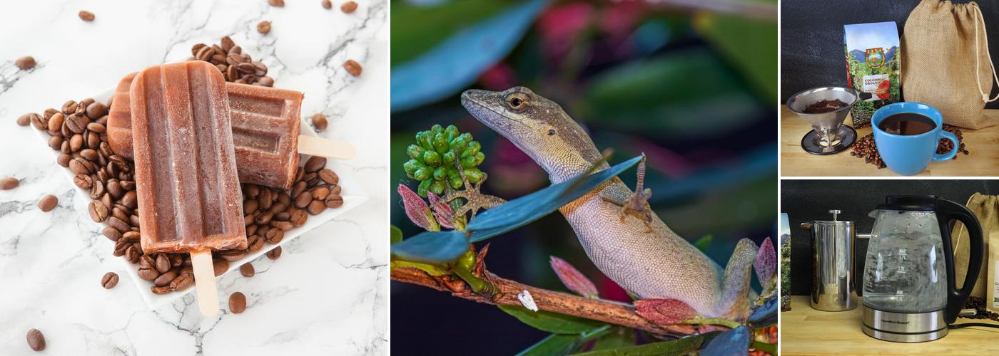 Java Planet Organic Coffee Roasters